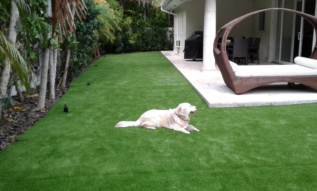 Pet-safe artificial grass with drainage system in residential backyard in Apopka, FL